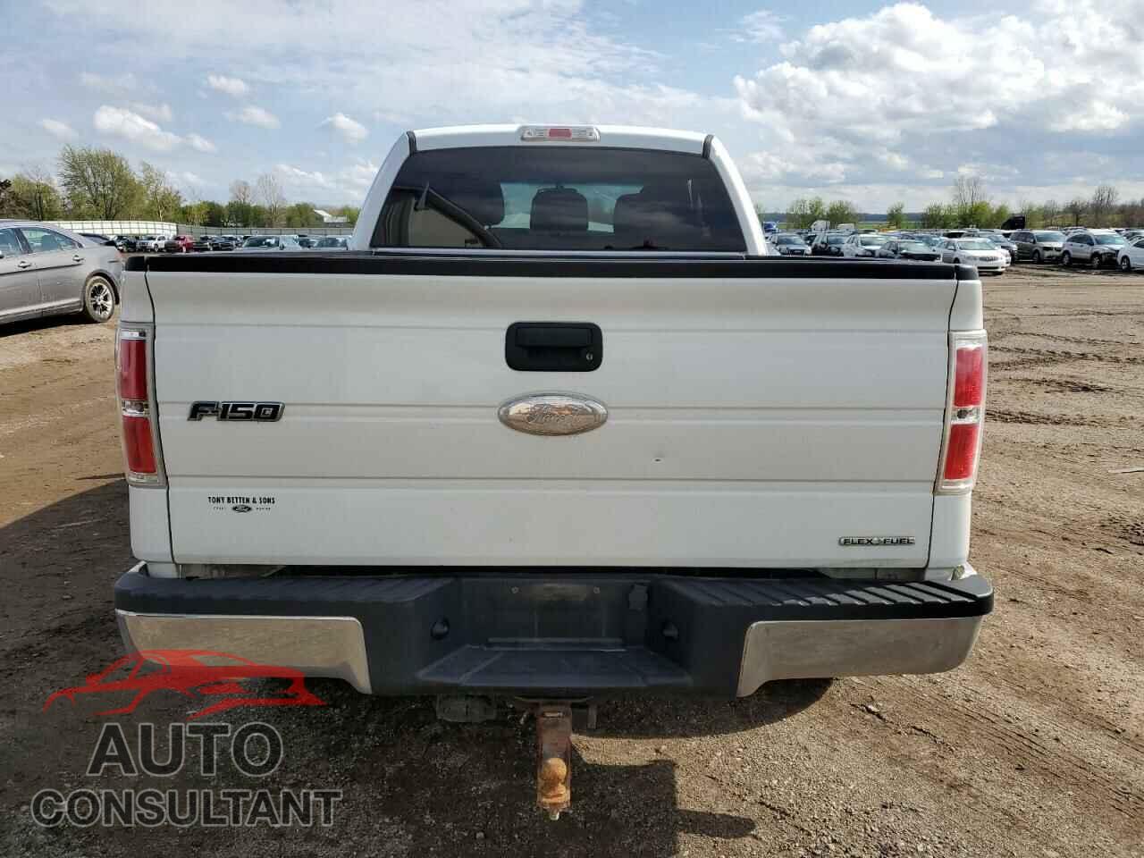 FORD F-150 2011 - 1FTFX1EF7BFD38018