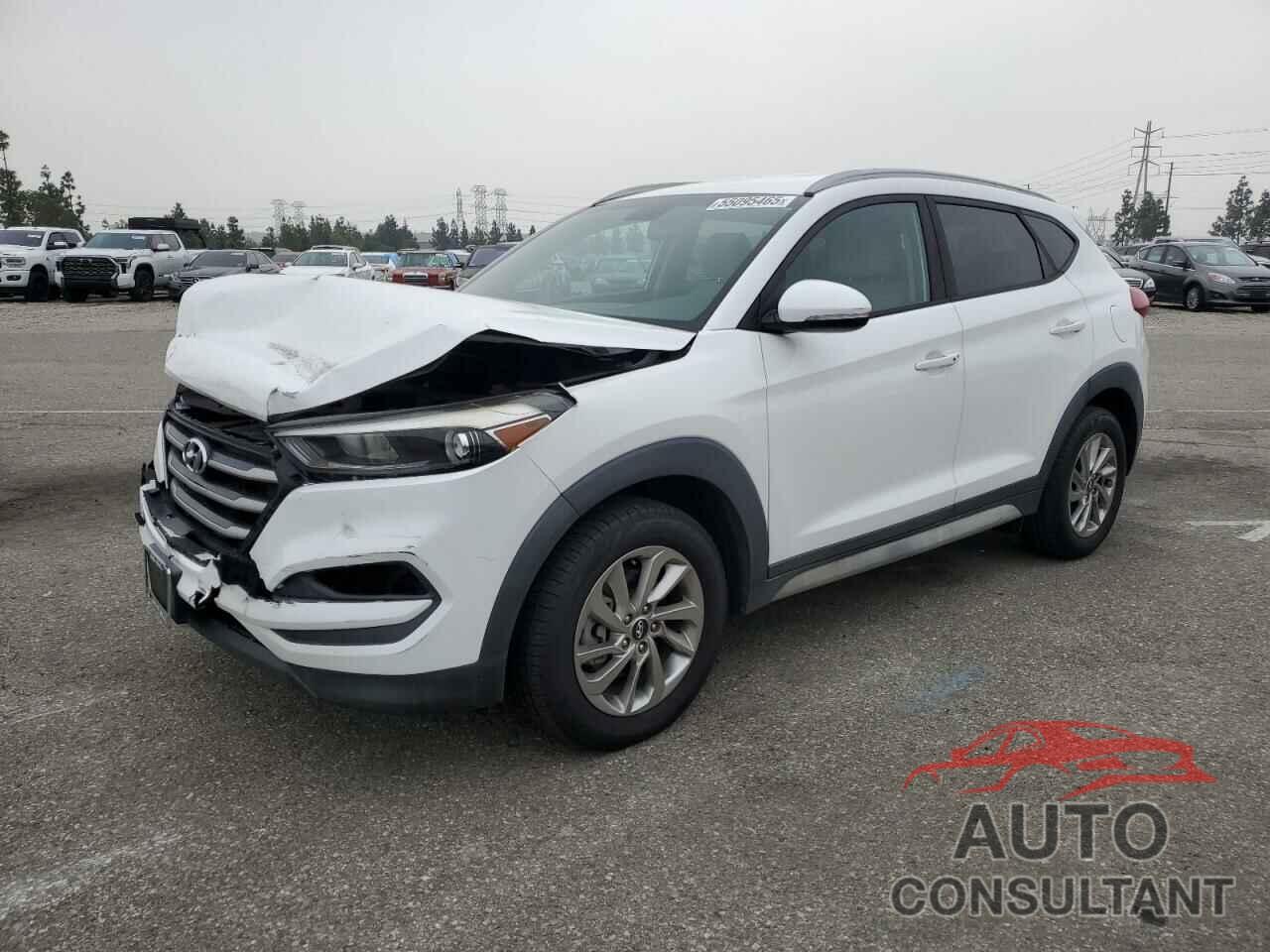 HYUNDAI TUCSON 2017 - KM8J33A42HU479505