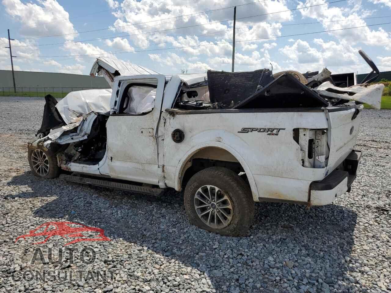 FORD F-150 2019 - 1FTEW1EP3KFC25030