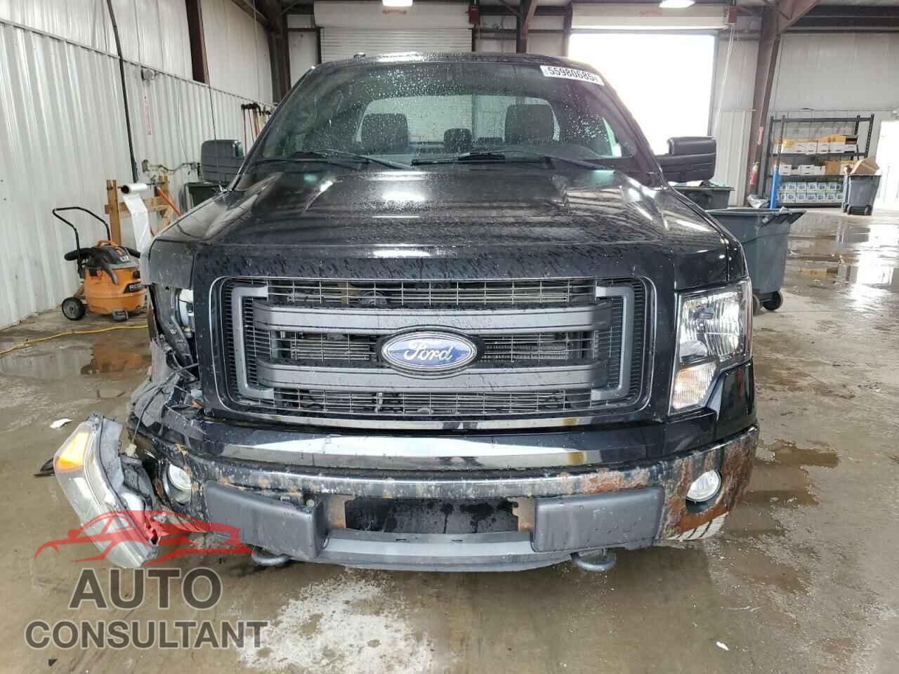 FORD F-150 2013 - 1FTFX1EF4DFD78768