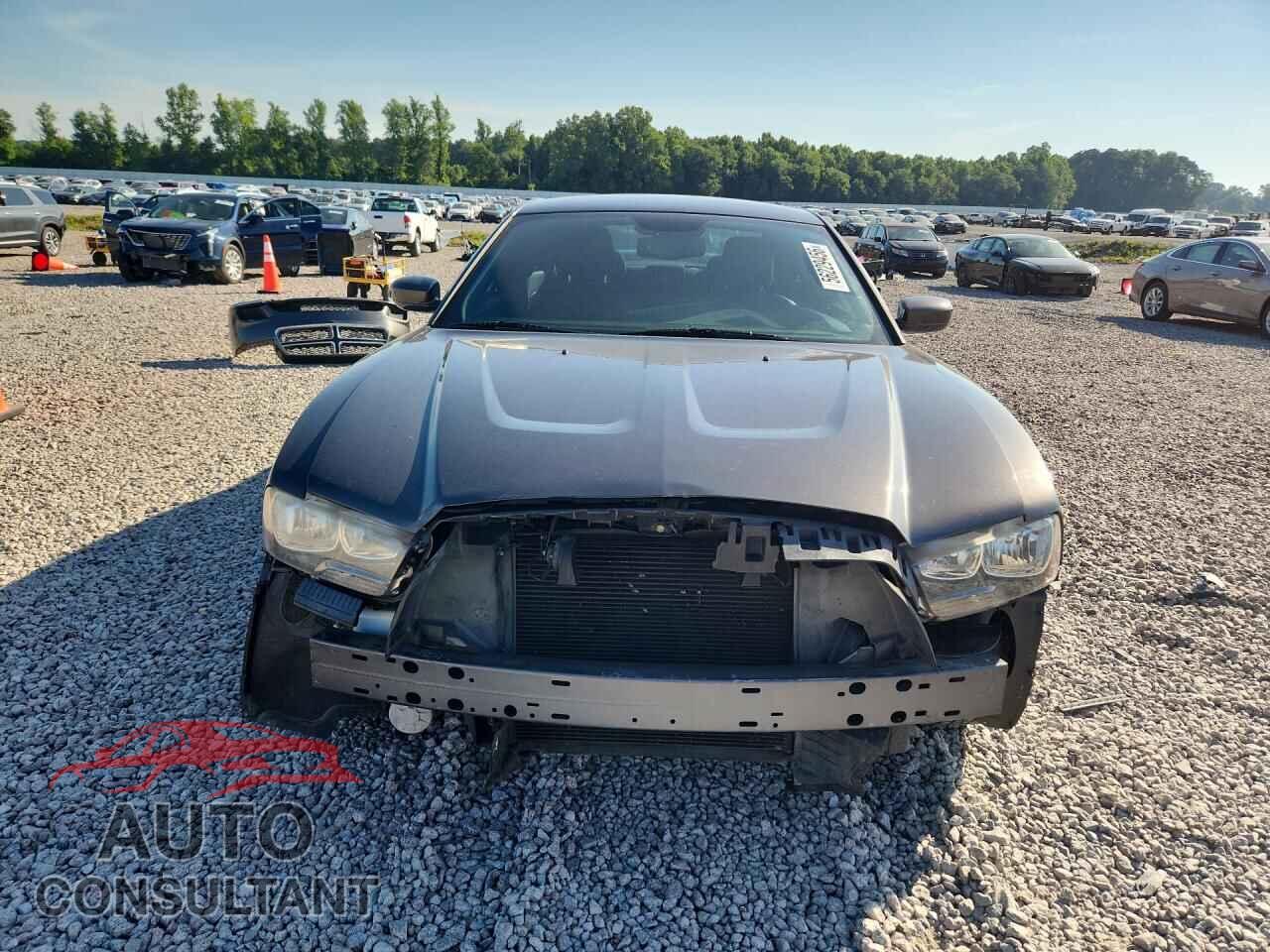 DODGE CHARGER 2014 - 2C3CDXBG8EH369300