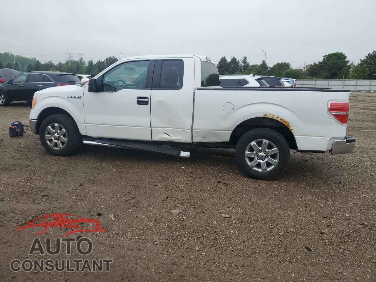 FORD F-150 2013 - 1FTFX1CF9DFD53898