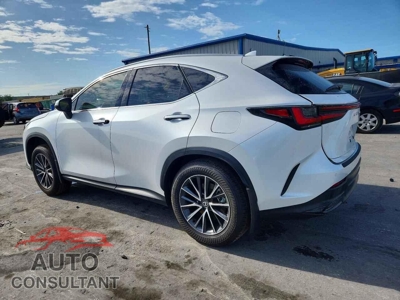 LEXUS NX 2025 - 2T2GGCEZ8SC088304