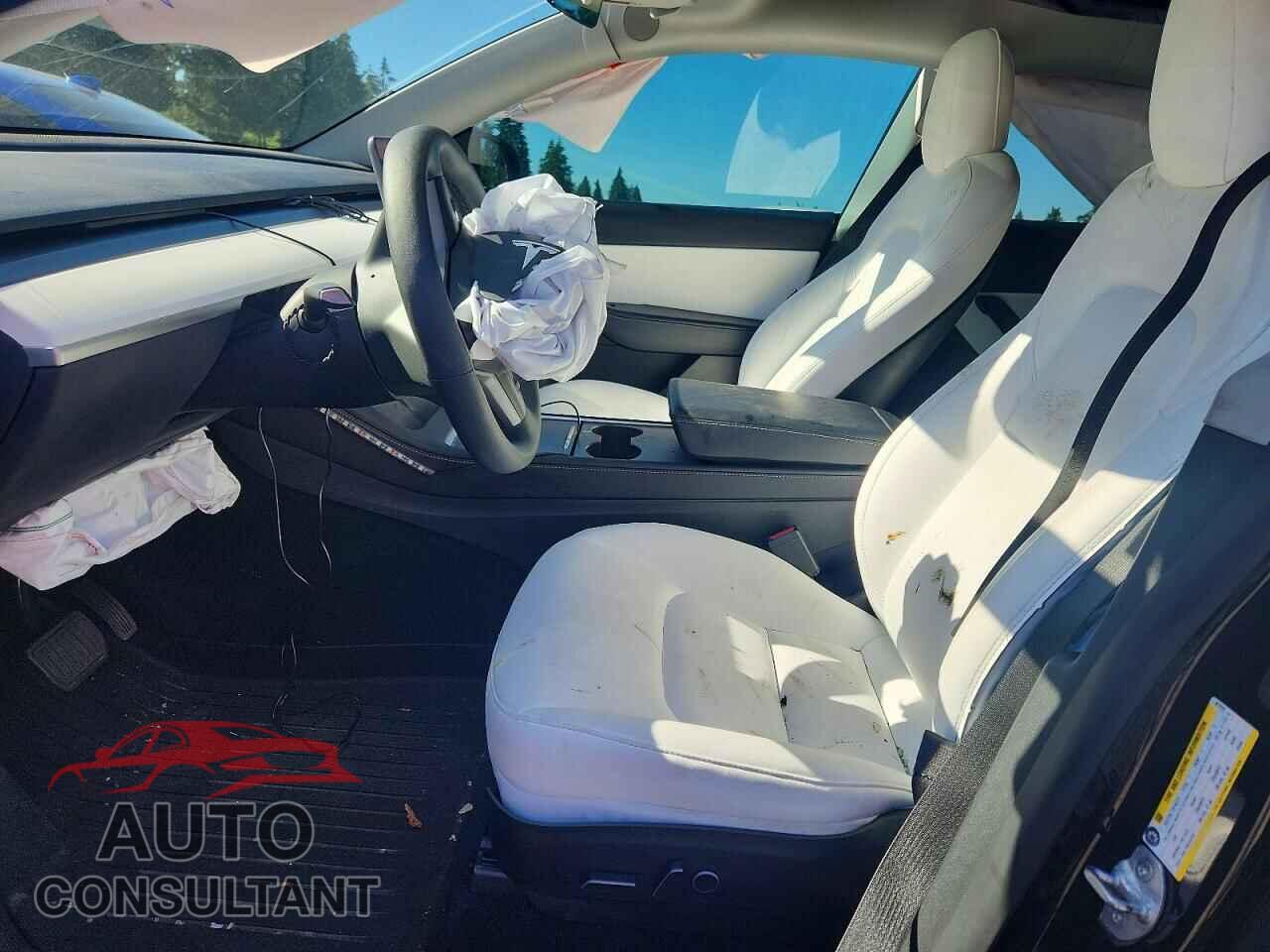 TESLA MODEL Y 2022 - 7SAYGAEE7NF427079