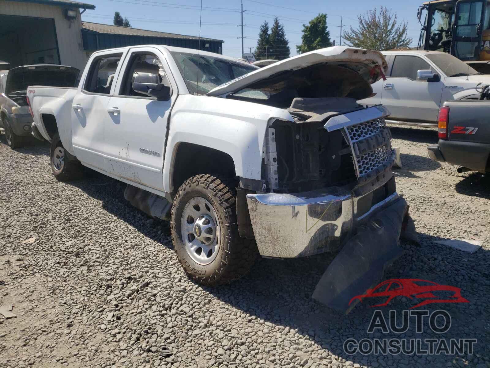 CHEVROLET SILVERADO 2019 - 1GC1KSEY2KF209748