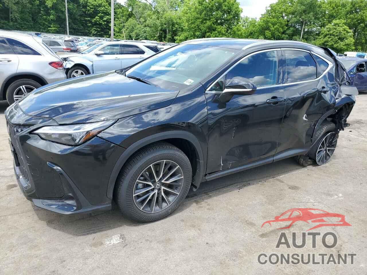 LEXUS NX 350H BA 2024 - 2T2GKCEZ8RC027124