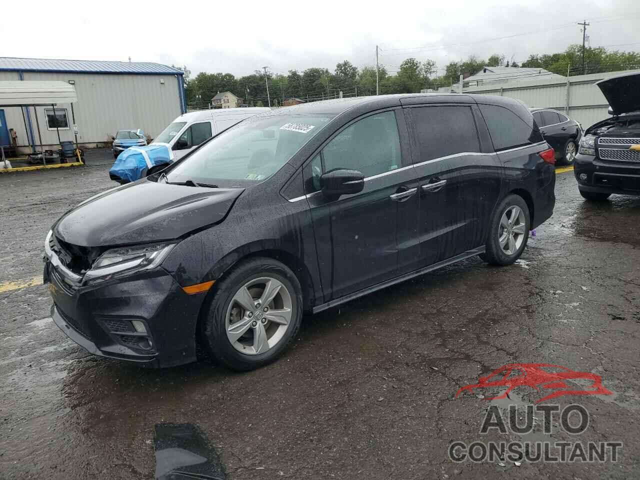 HONDA All Models 2019 - 5FNRL6H76KB124717