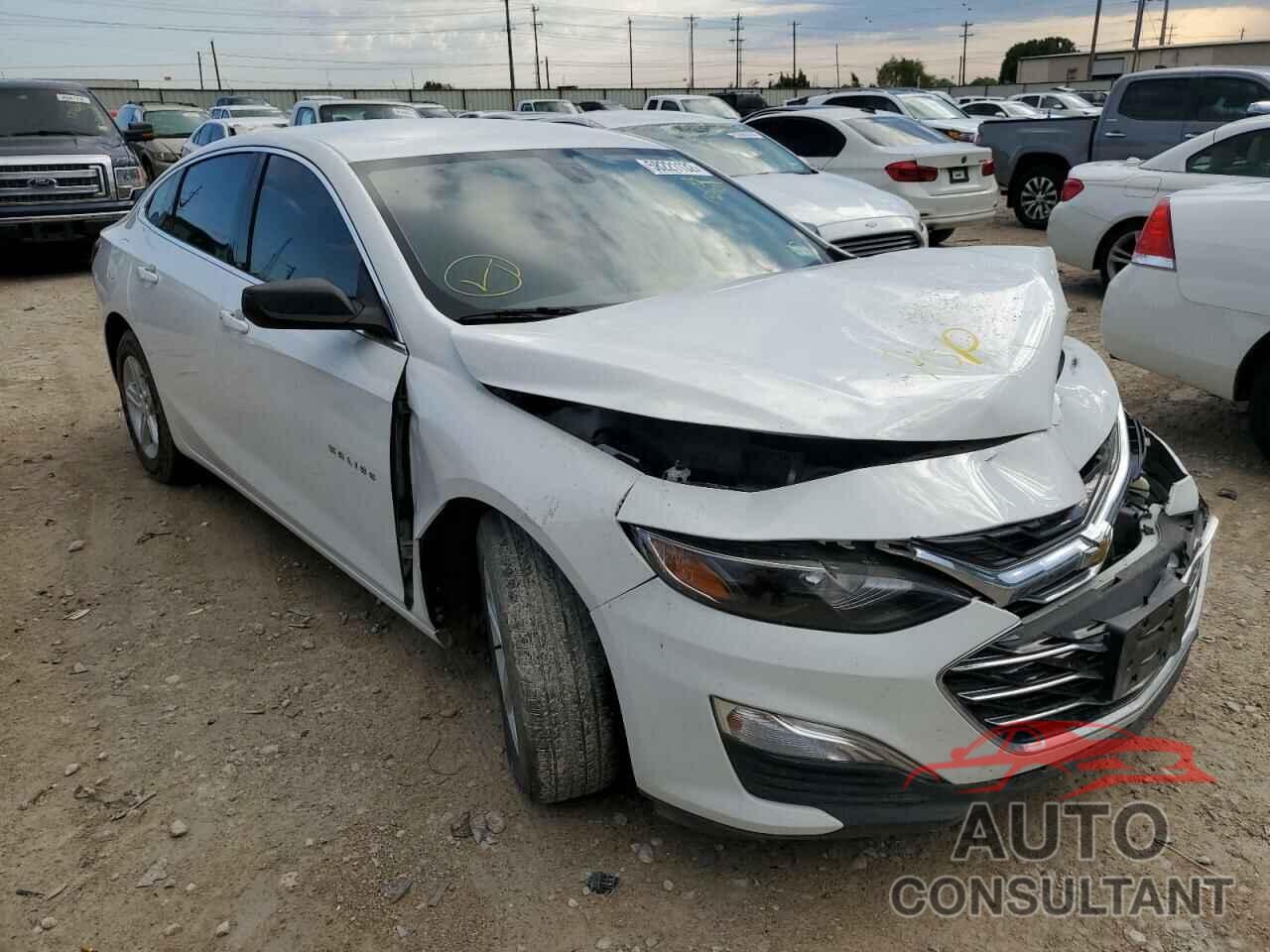CHEVROLET MALIBU 2019 - 1G1ZB5ST4KF192912