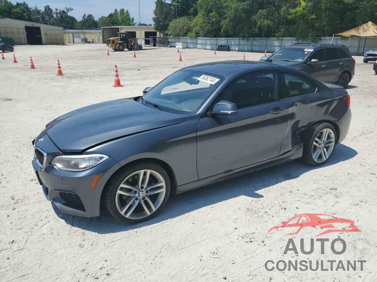 BMW 2 SERIES 2016 - WBA1G9C53GVX97091