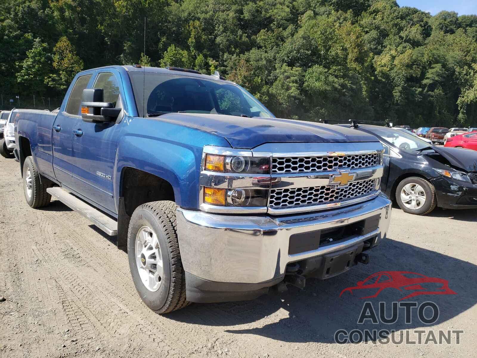 CHEVROLET SILVERADO 2019 - 2GC2KSEGXK1118147