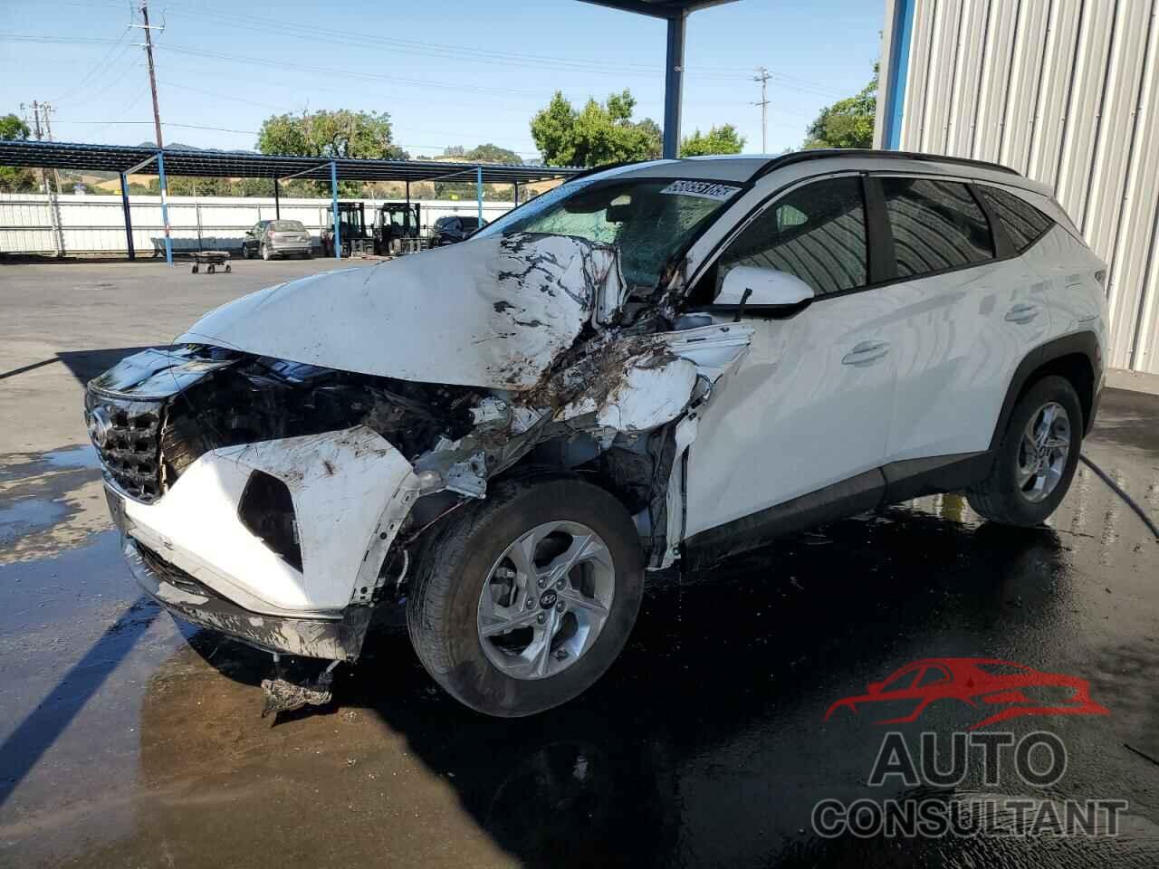 HYUNDAI TUCSON 2024 - 5NMJBCDE1RH366102