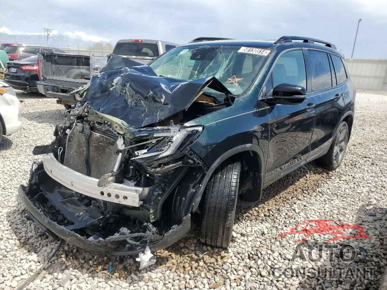 HONDA PASSPORT 2019 - 5FNYF7H91KB006472