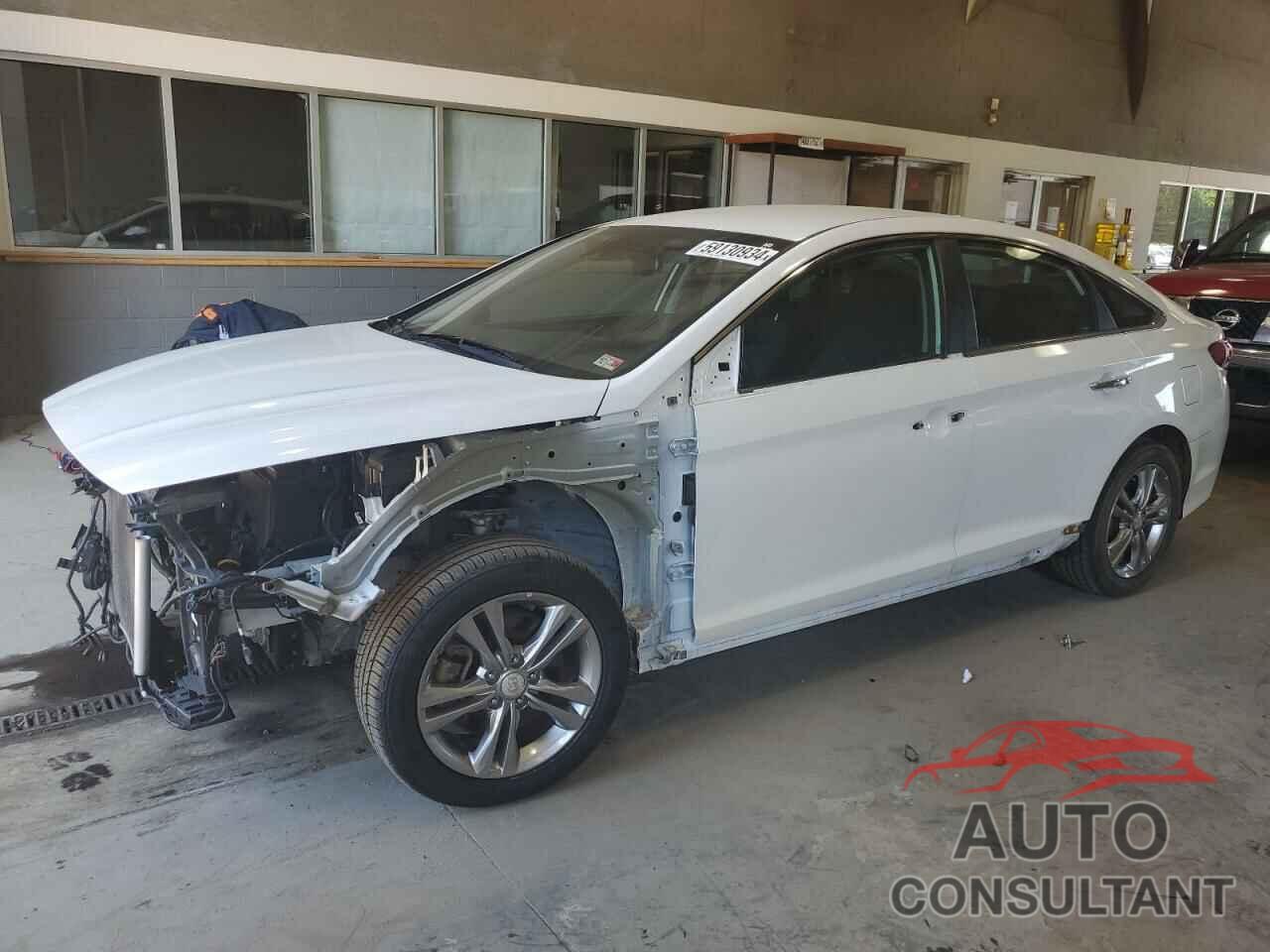 HYUNDAI SONATA 2019 - 5NPE34AF9KH771179