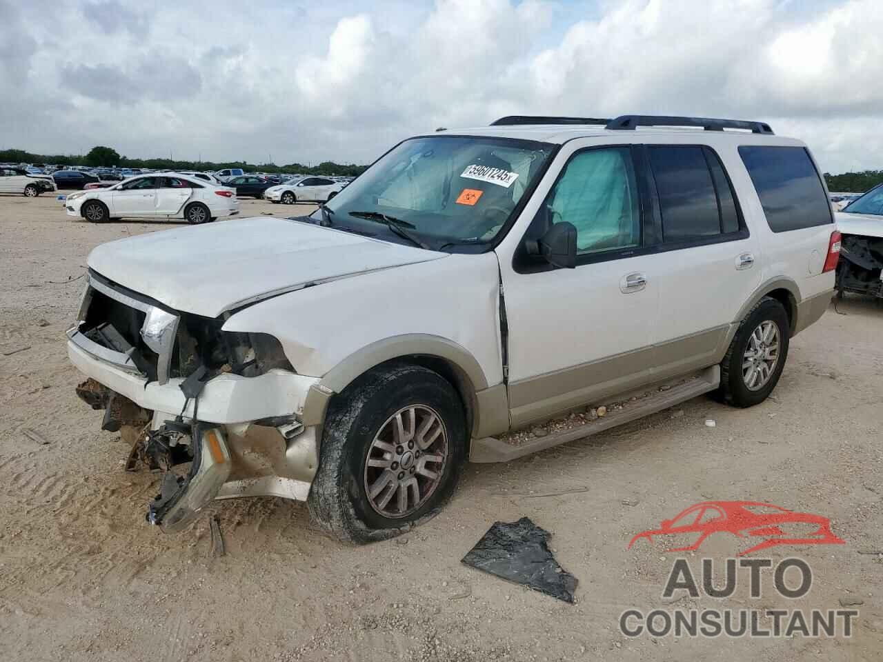FORD EXPEDITION 2010 - 1FMJU1H58AEB61484