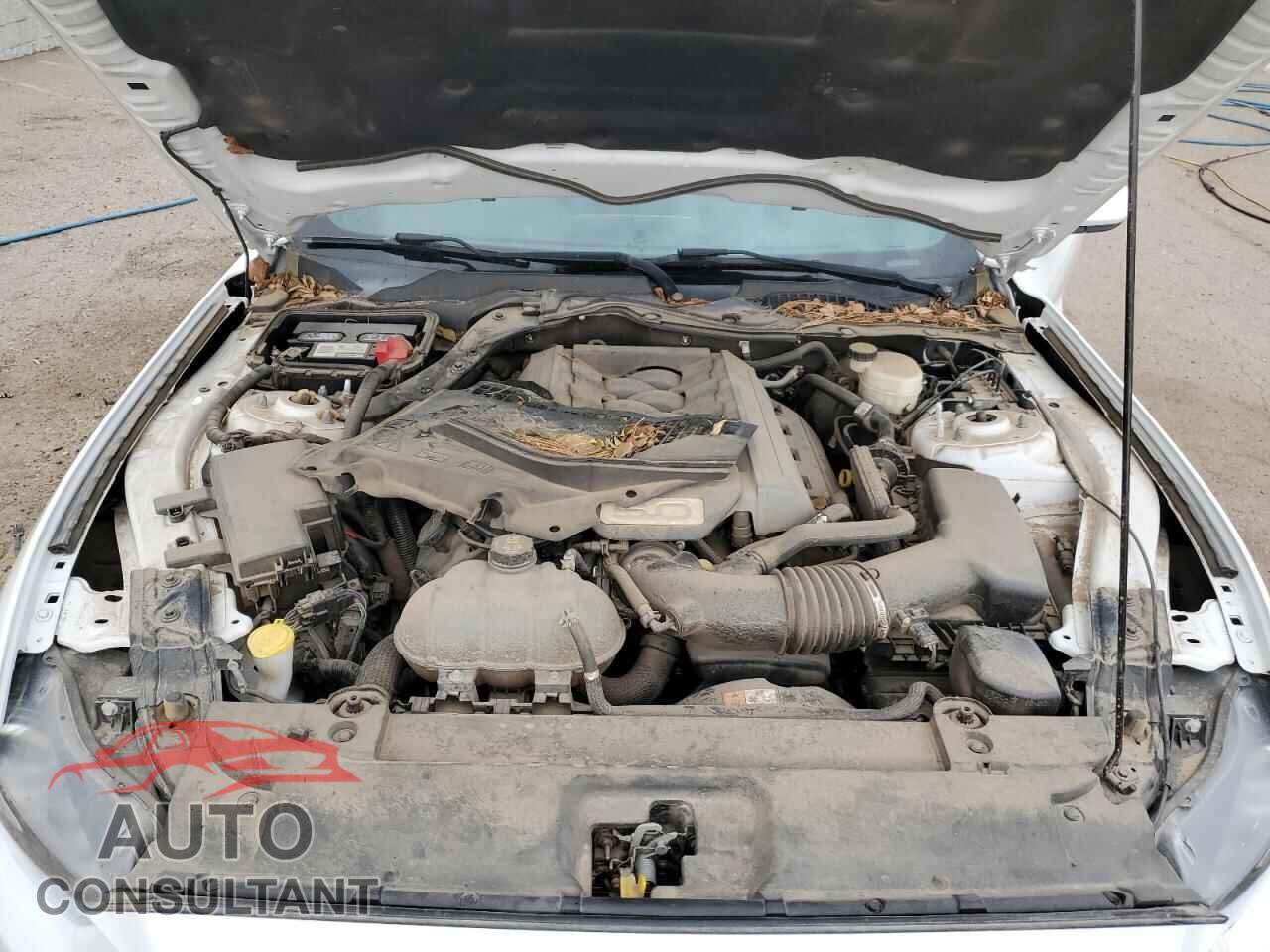 FORD MUSTANG 2017 - 1FA6P8CF2H5354045