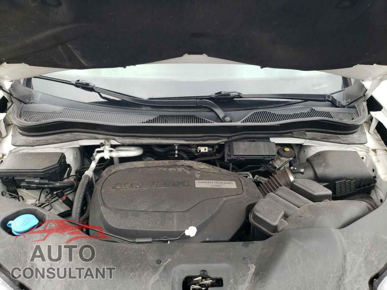 HONDA PILOT 2017 - 5FNYF5H10HB044444