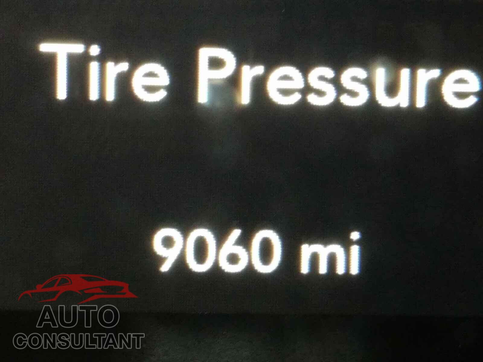 DODGE CHALLENGER 2019 - 2C3CDZAG4KH557627
