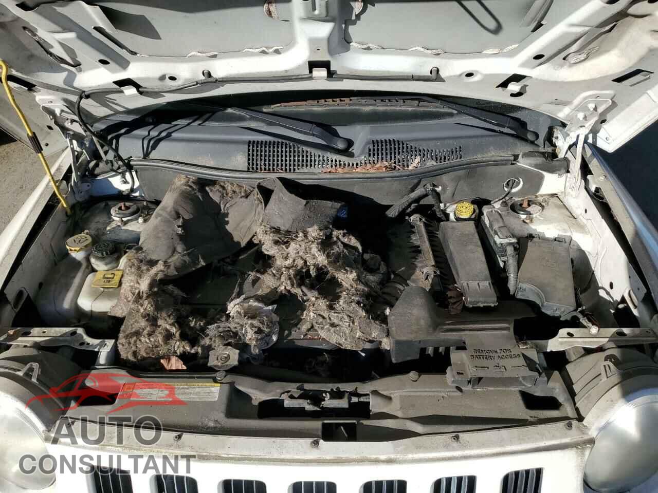 JEEP COMPASS 2010 - 1J4NT5FB2AD530042