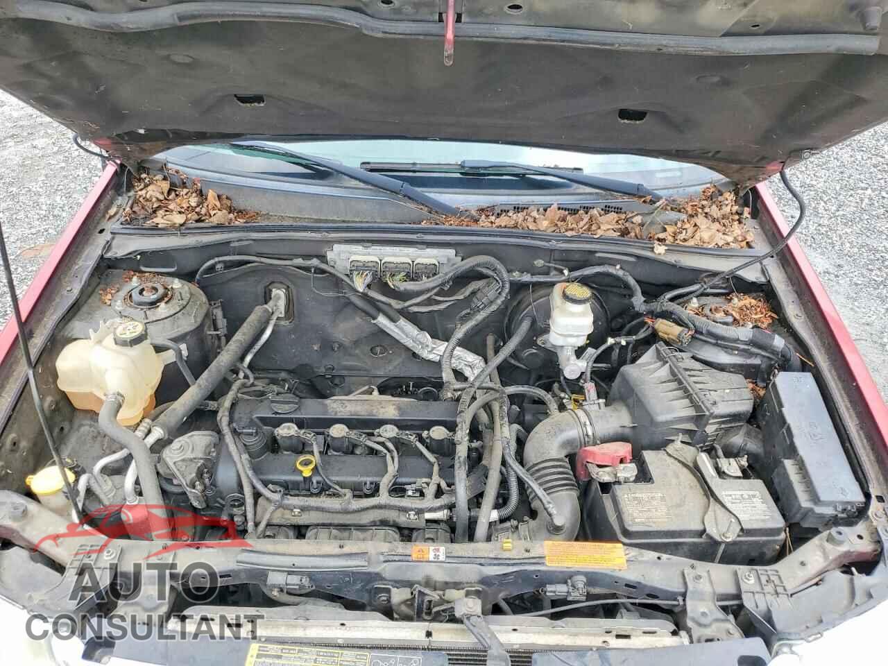 FORD ESCAPE 2010 - 1FMCU0E76AKB88550