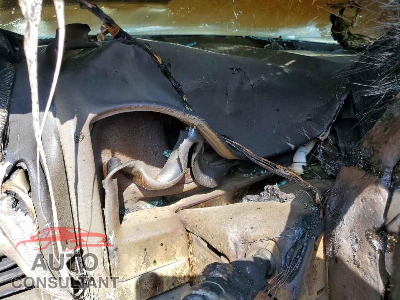 DODGE RAM 1500 2011 - 3D7JB1EP7BG559205