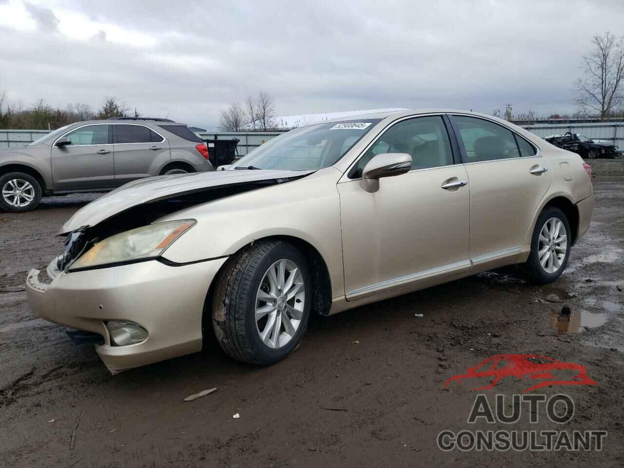 LEXUS ES350 2011 - JTHBK1EG1B2427031