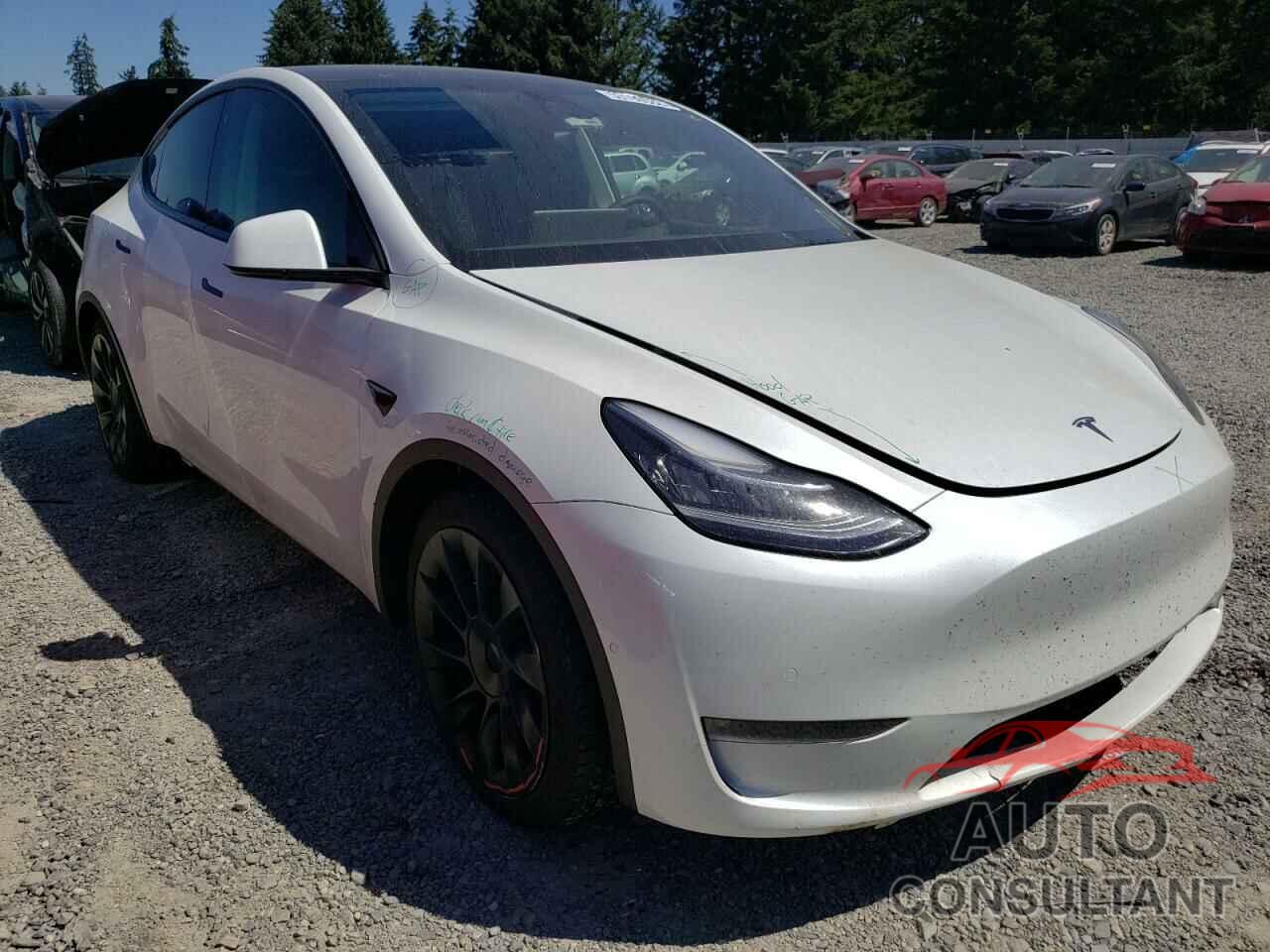 TESLA MODEL Y 2021 - 5YJYGAEE0MF231433
