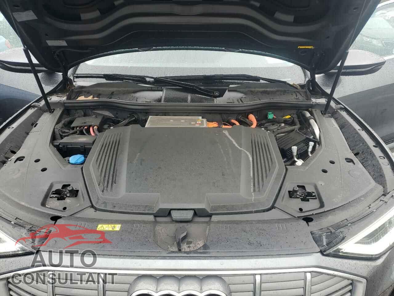 AUDI E-TRON 2021 - WA11AAGE7MB002082