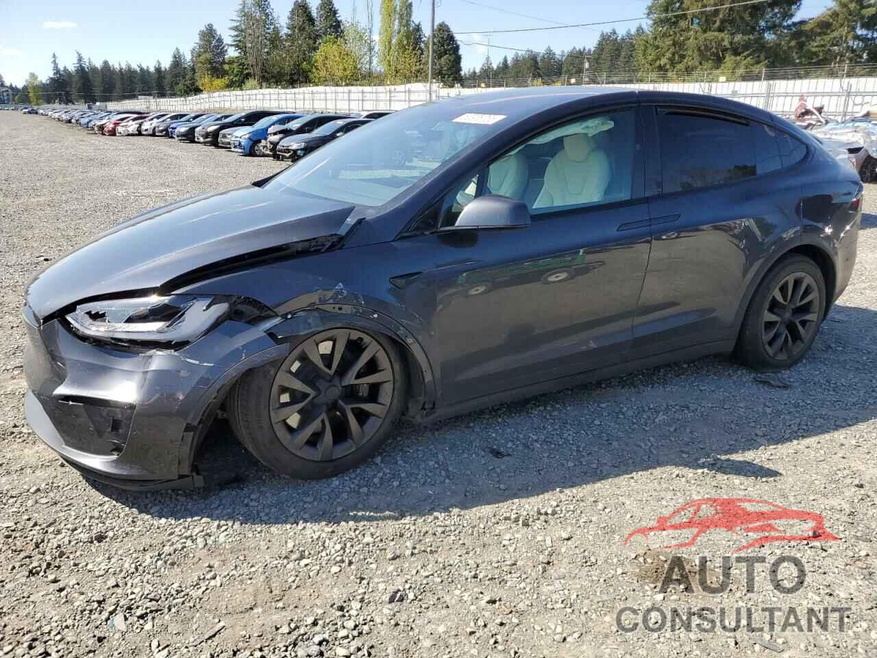 TESLA MODEL X 2023 - 7SAXCAE53PF422729