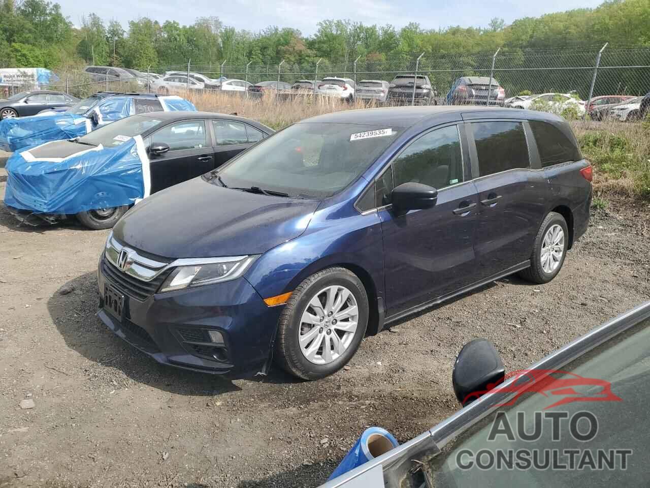 HONDA All Models 2019 - 5FNRL6H2XKB129178