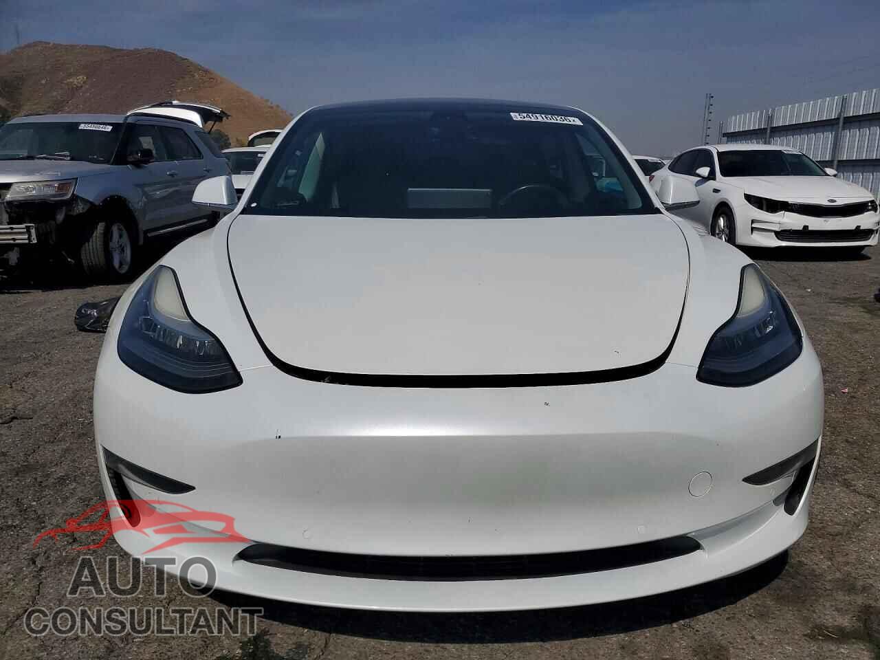 TESLA MODEL 3 2019 - 5YJ3E1EB4KF388532