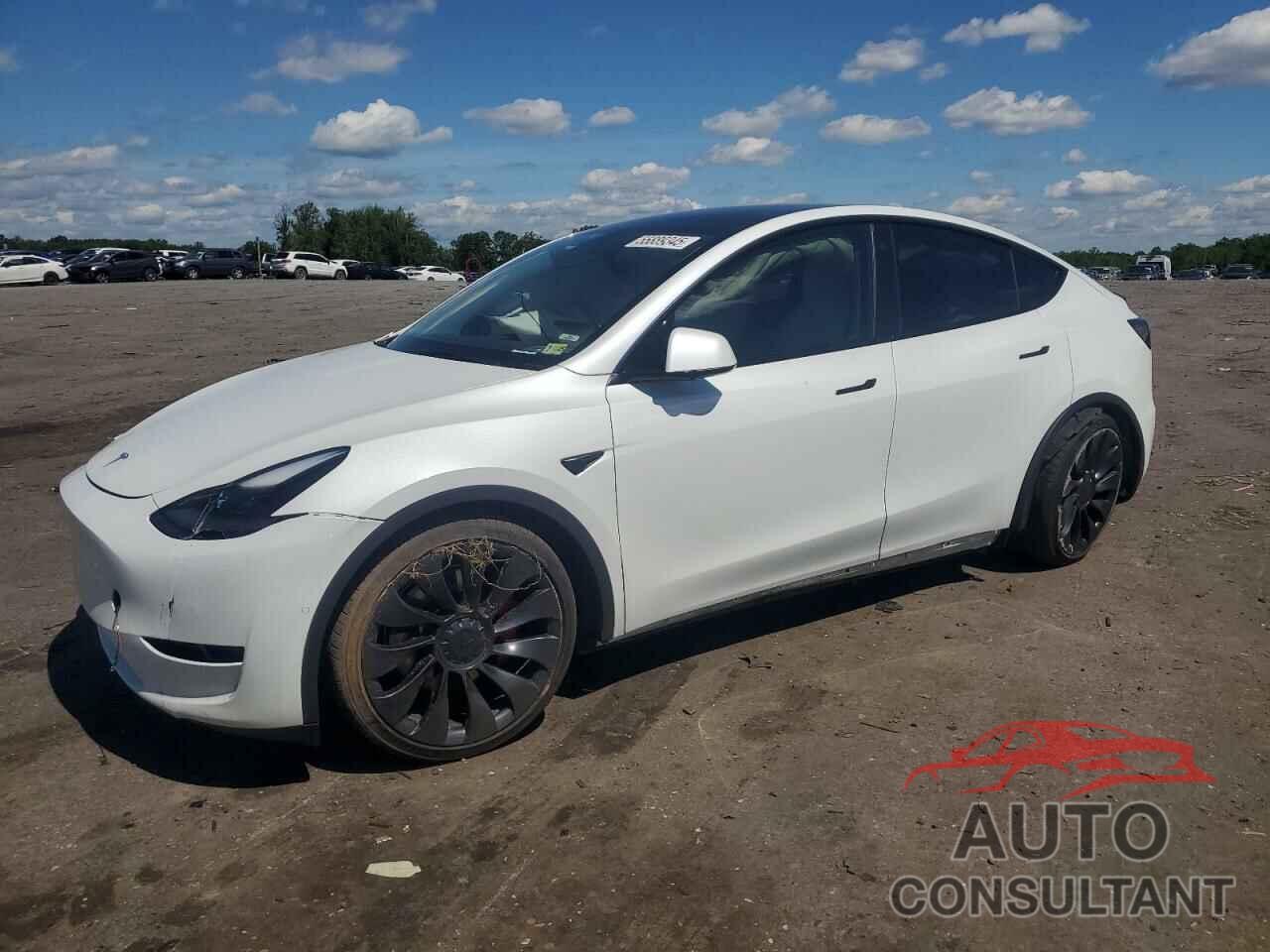 TESLA MODEL Y 2022 - 7SAYGDEF9NF372337
