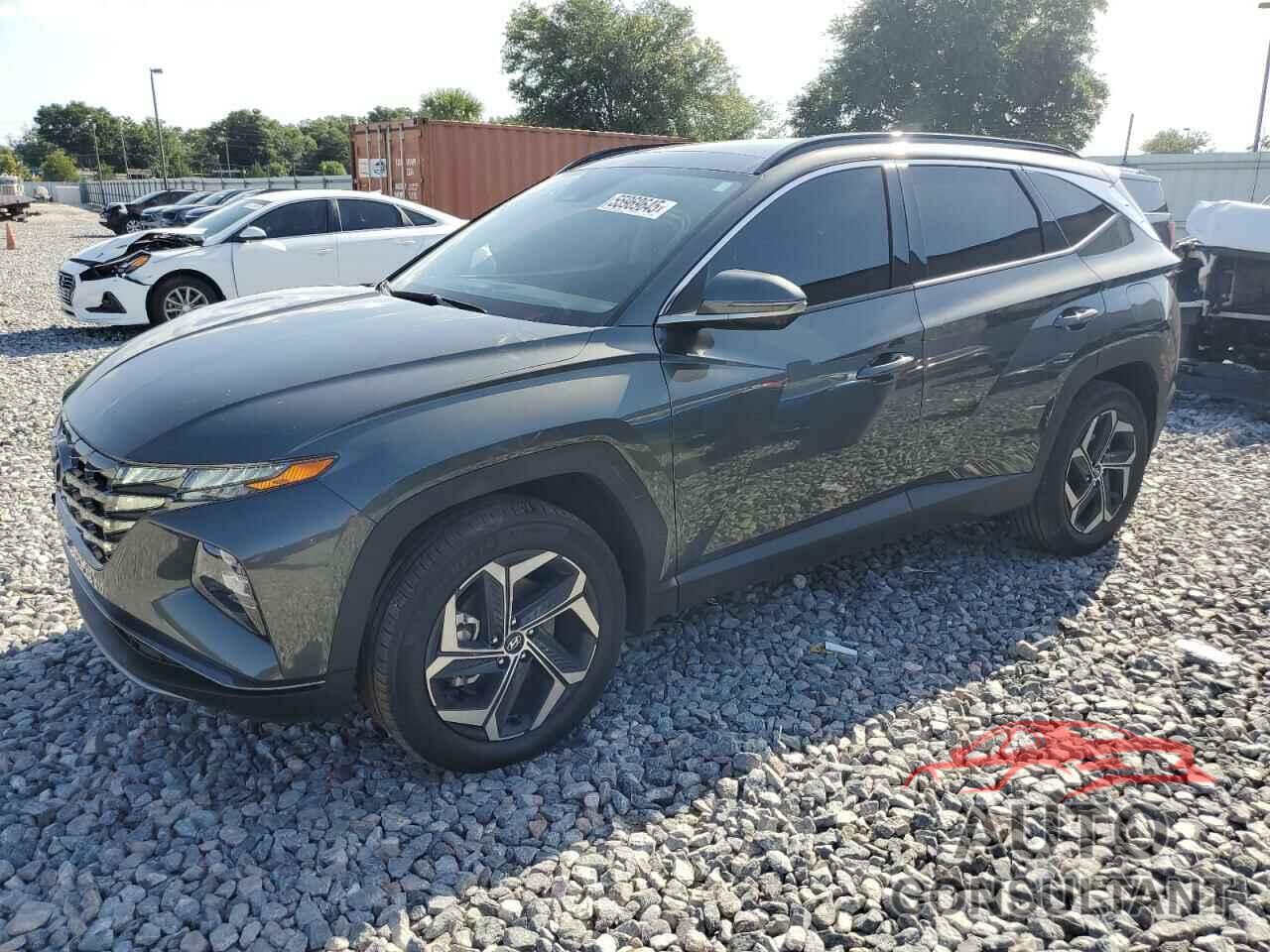 HYUNDAI TUCSON 2024 - KM8JECD11RU170234