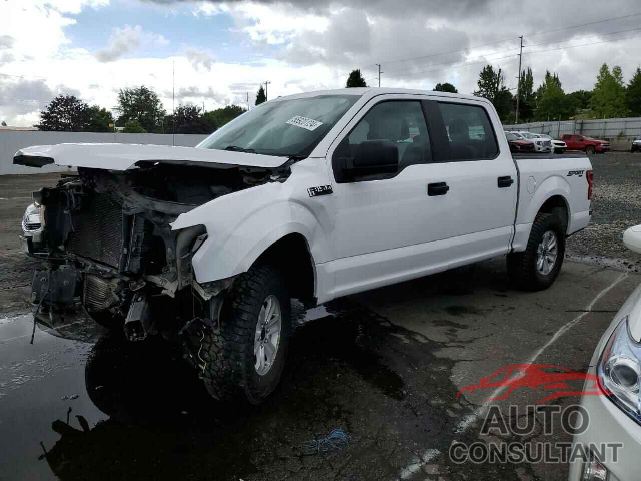 FORD F-150 2019 - 1FTEW1EP5KKD05632