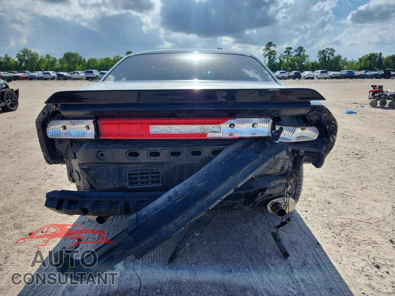 DODGE CHALLENGER 2013 - 2C3CDYAG9DH669921