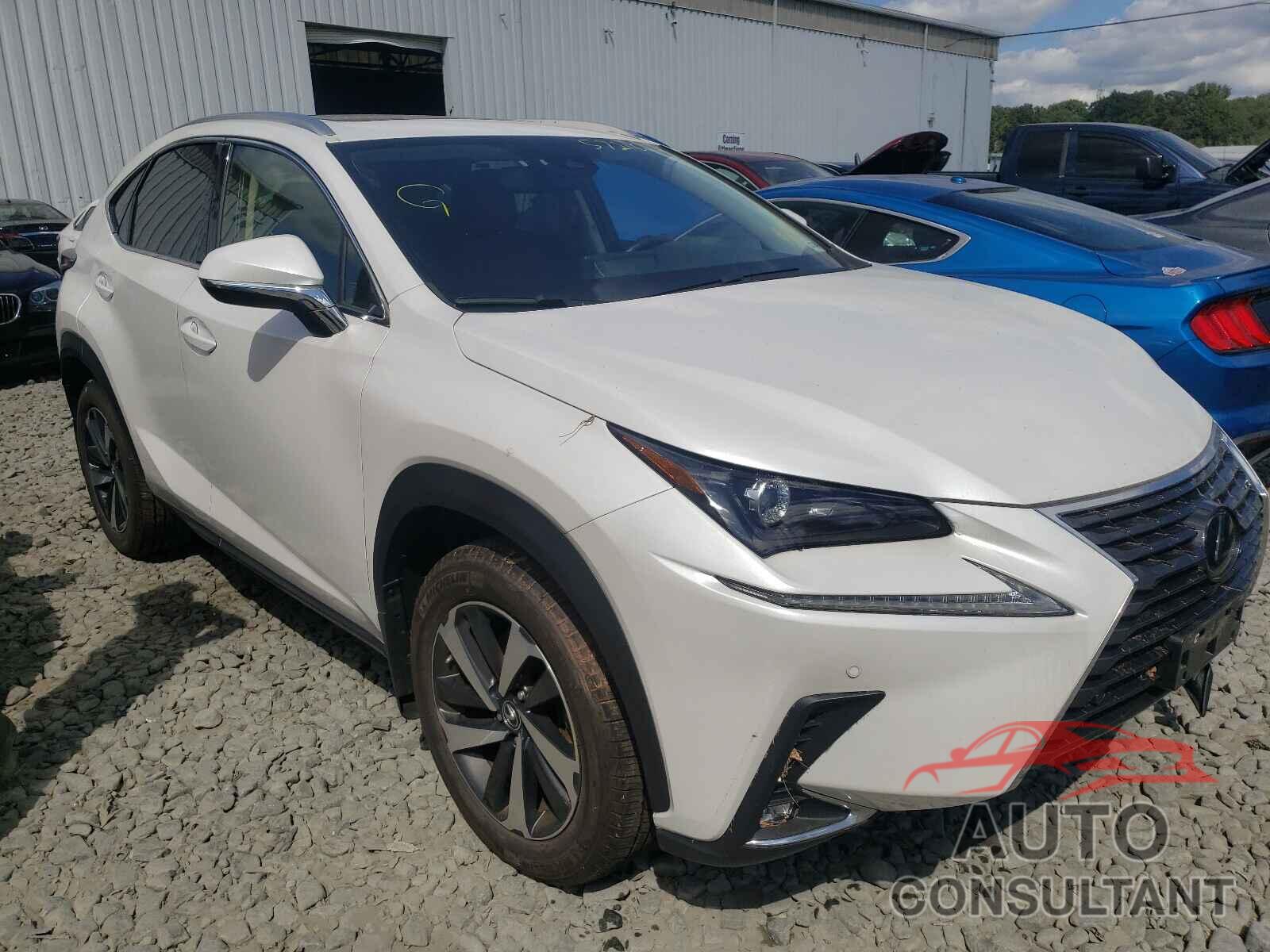 LEXUS NX 2020 - JTJGARDZ1L5003566