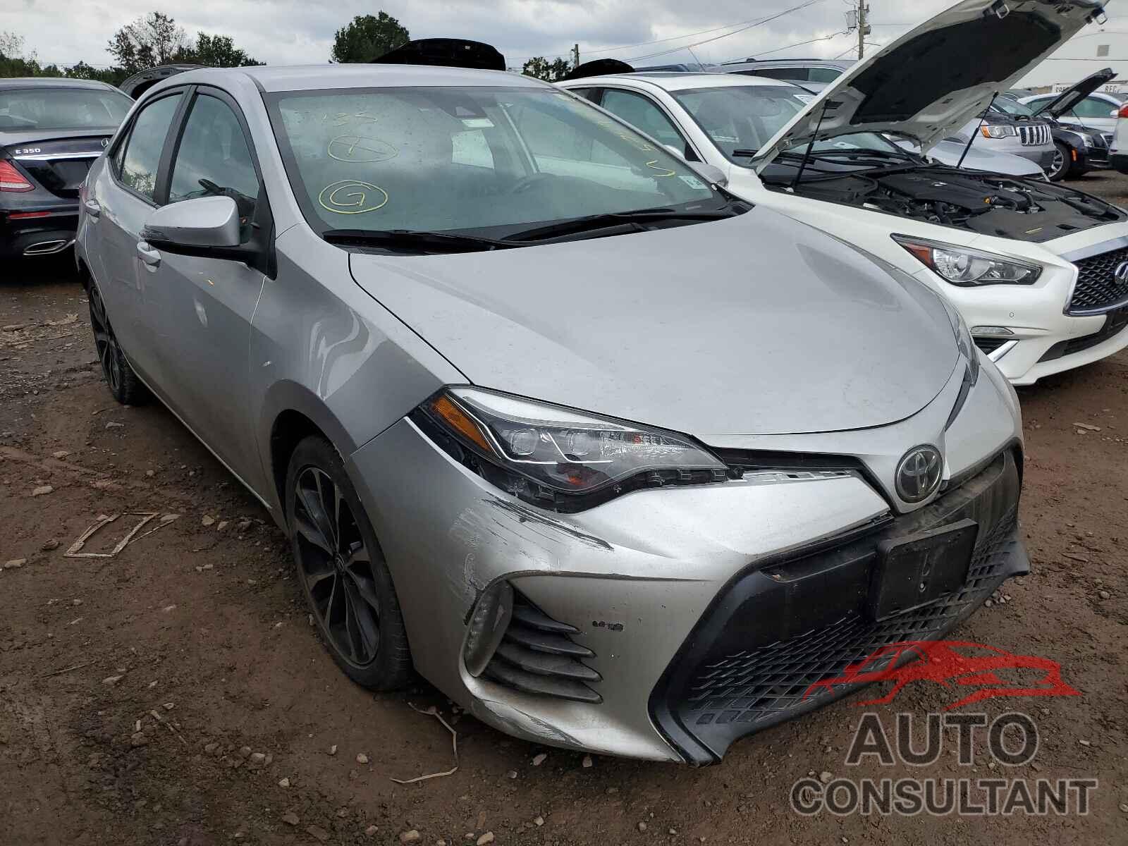 2019 COROLLA TOYOTA