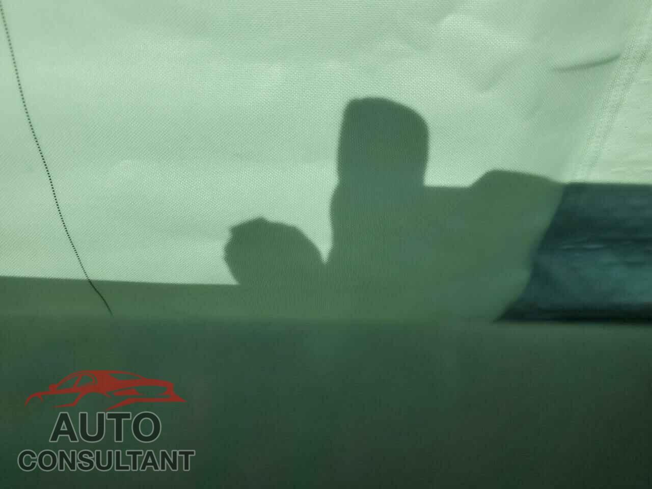 TESLA MODEL 3 2020 - 5YJ3E1EAXLF591420
