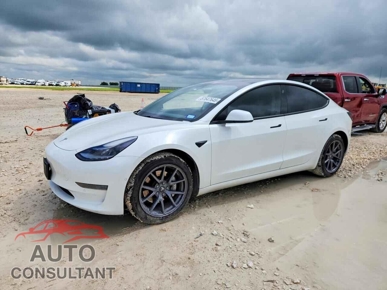 TESLA MODEL 3 2021 - 5YJ3E1EA3MF017274
