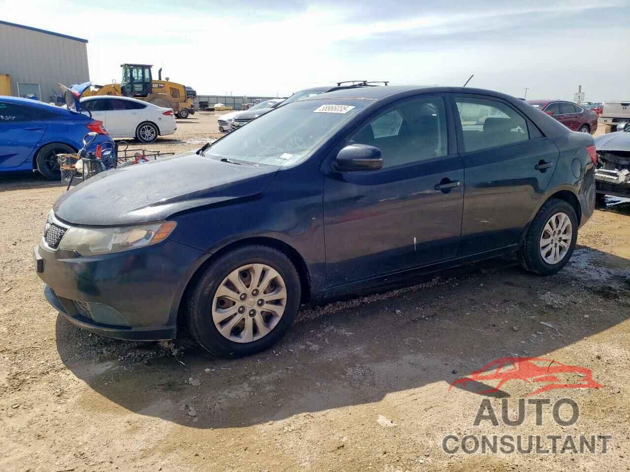 KIA FORTE 2012 - KNAFU4A22C5639295