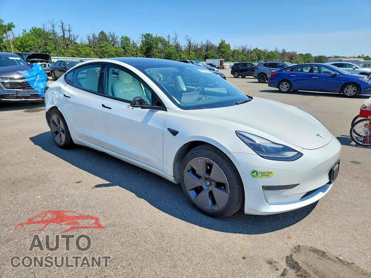 TESLA MODEL 3 2022 - 5YJ3E1EB2NF176975