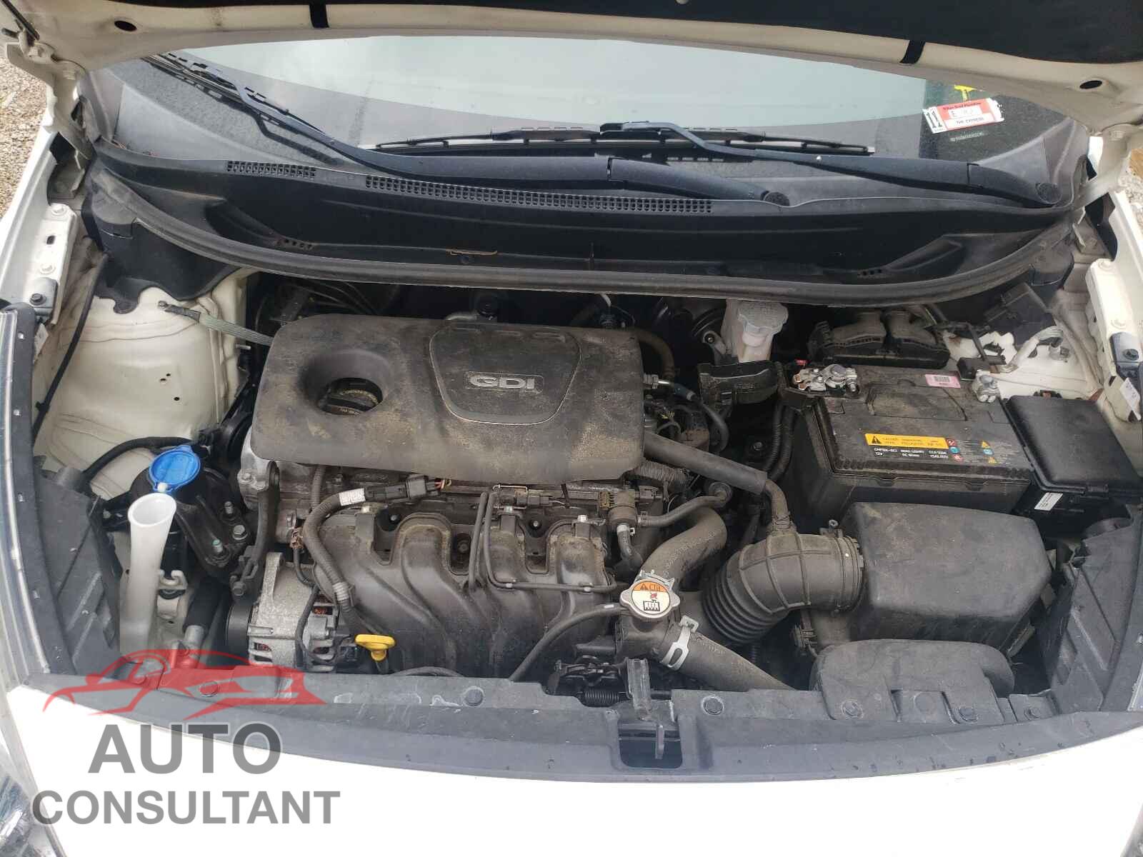 KIA RIO 2017 - KNADM4A35H6112286