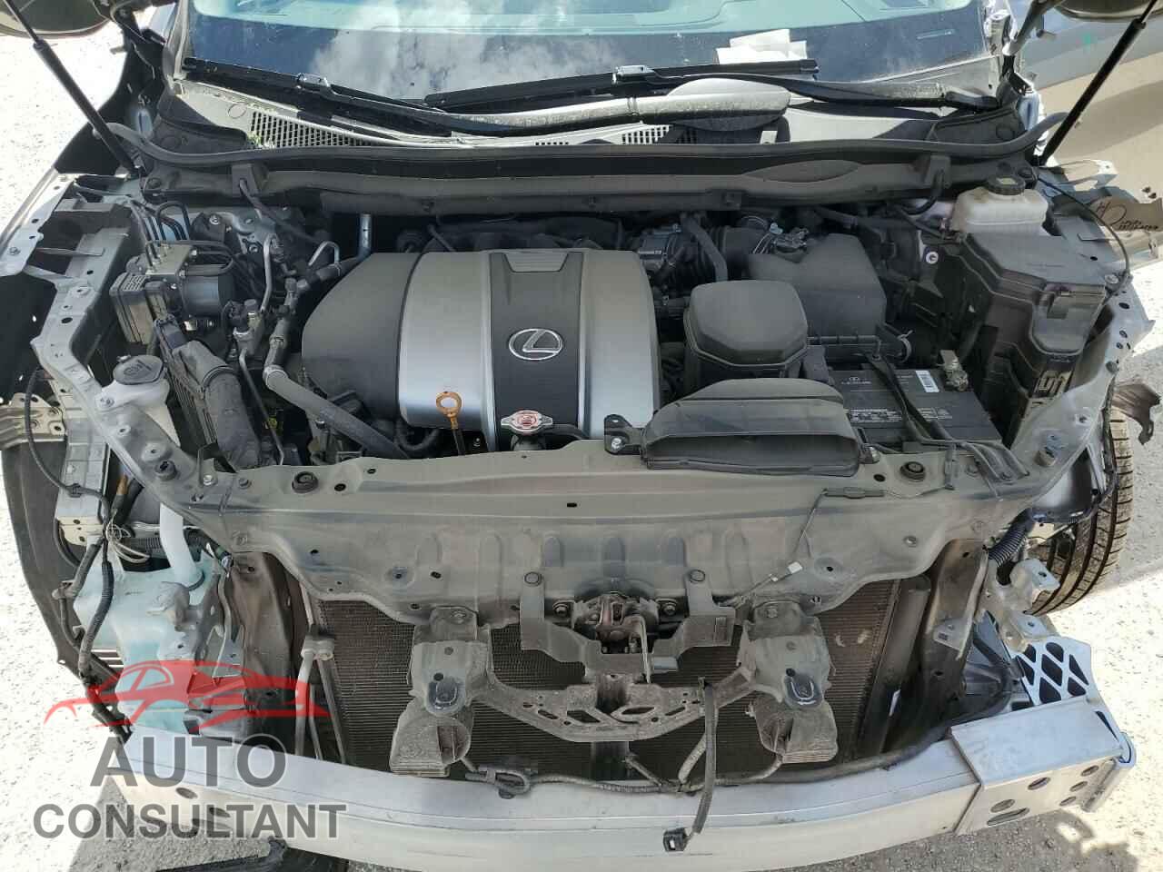 LEXUS RX350 2019 - 2T2ZZMCA0KC131118
