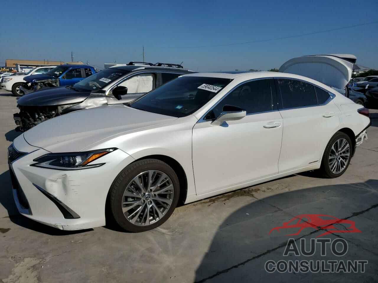 LEXUS ES300 2020 - 58AD21B16LU009505