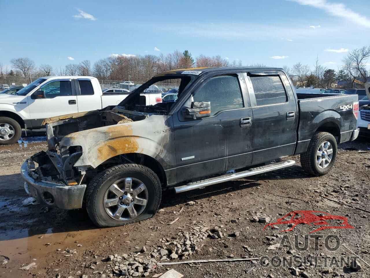 FORD F-150 2014 - 1FTFW1ET9EKG40205