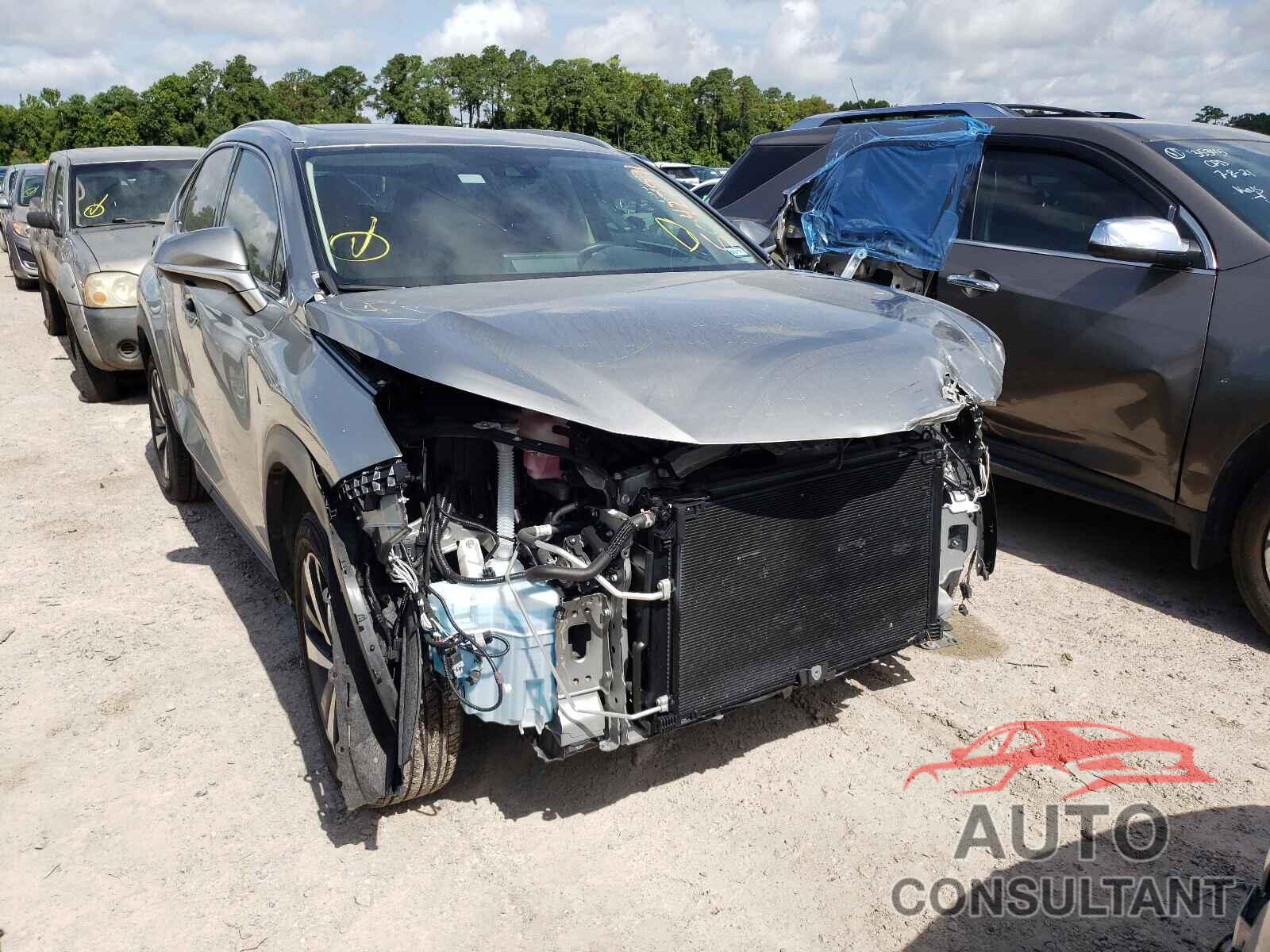 LEXUS NX 2020 - JTJGARBZ9L2159164