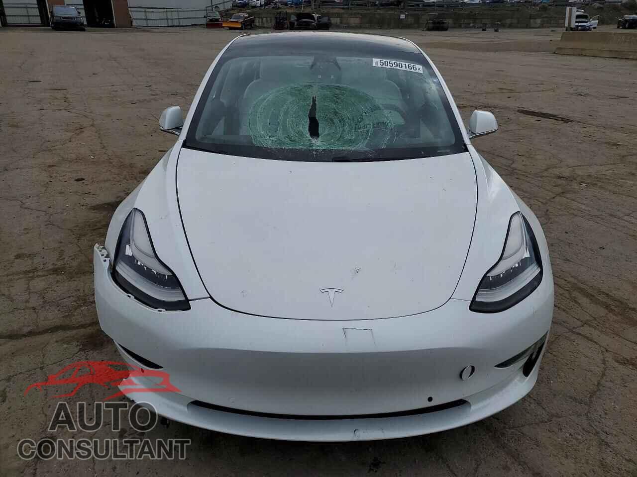 TESLA MODEL 3 2019 - 5YJ3E1EB0KF494945