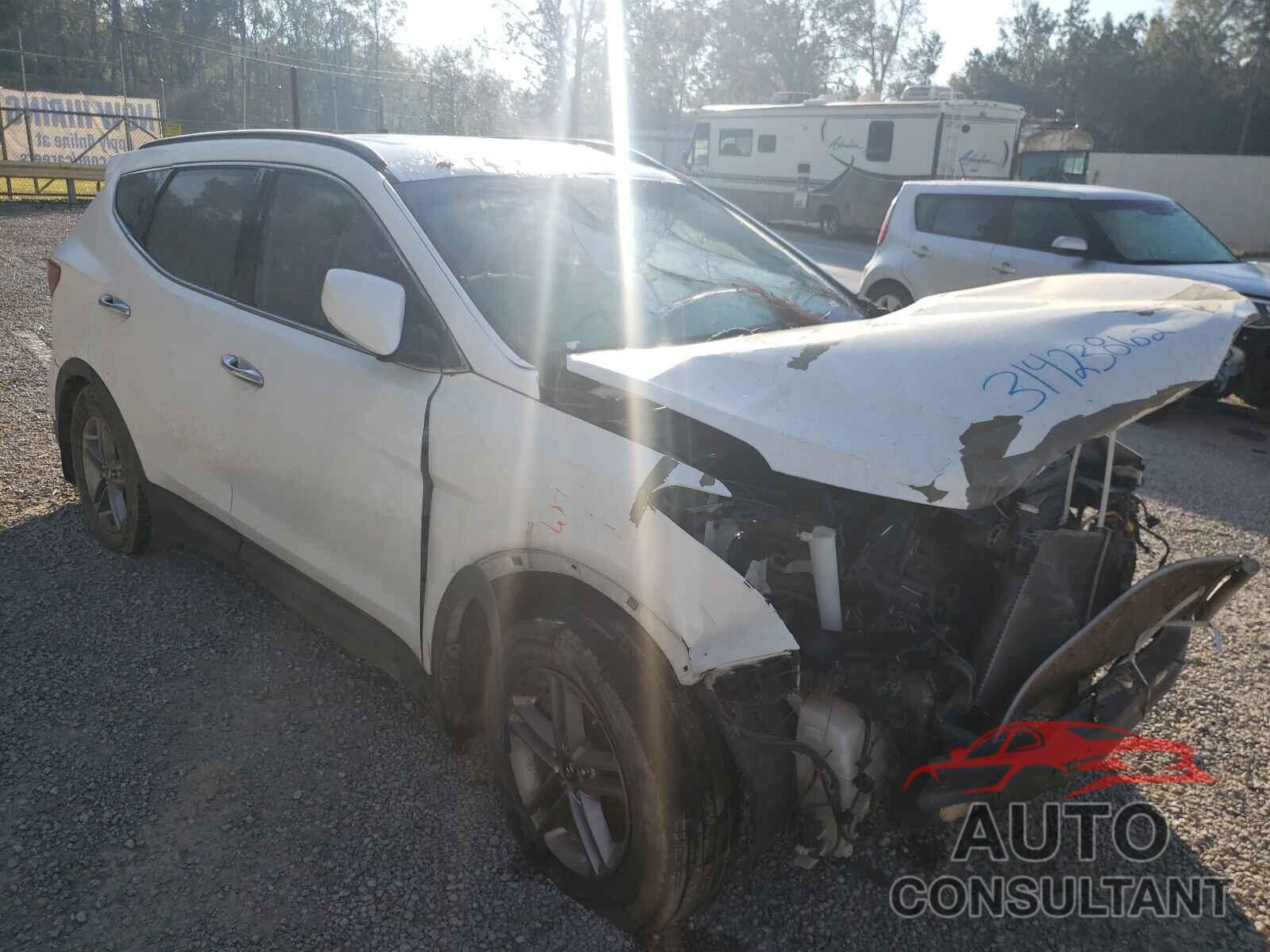 HYUNDAI SANTA FE 2017 - 5NMZU3LBXHH006975