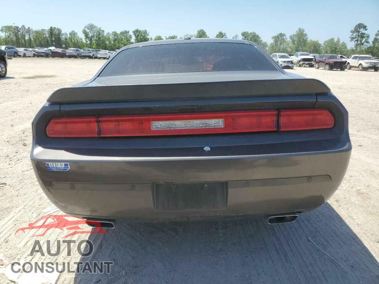 DODGE CHALLENGER 2013 - 2C3CDYAG6DH554175
