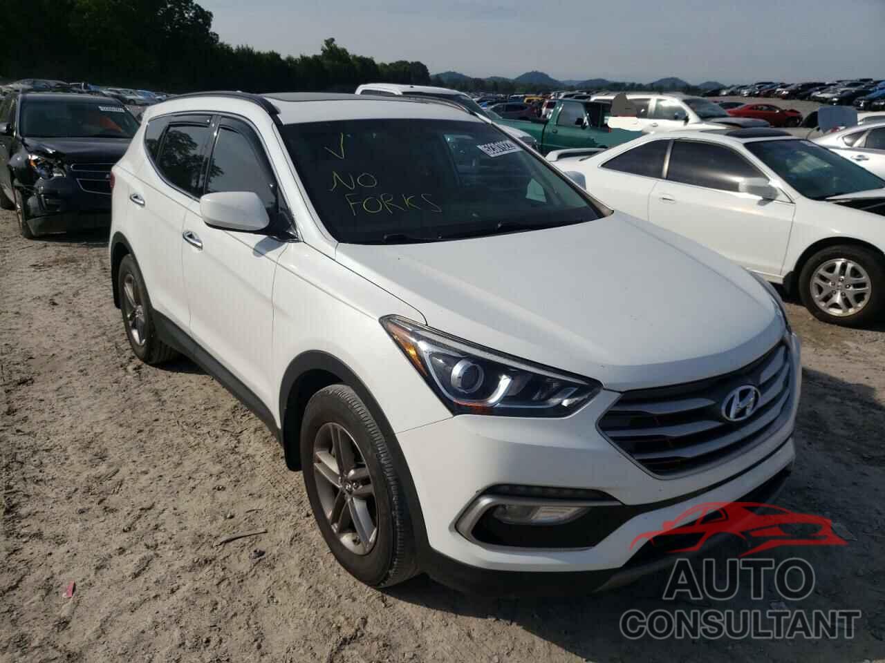 HYUNDAI SANTA FE 2017 - 5XYZUDLB5HG410055