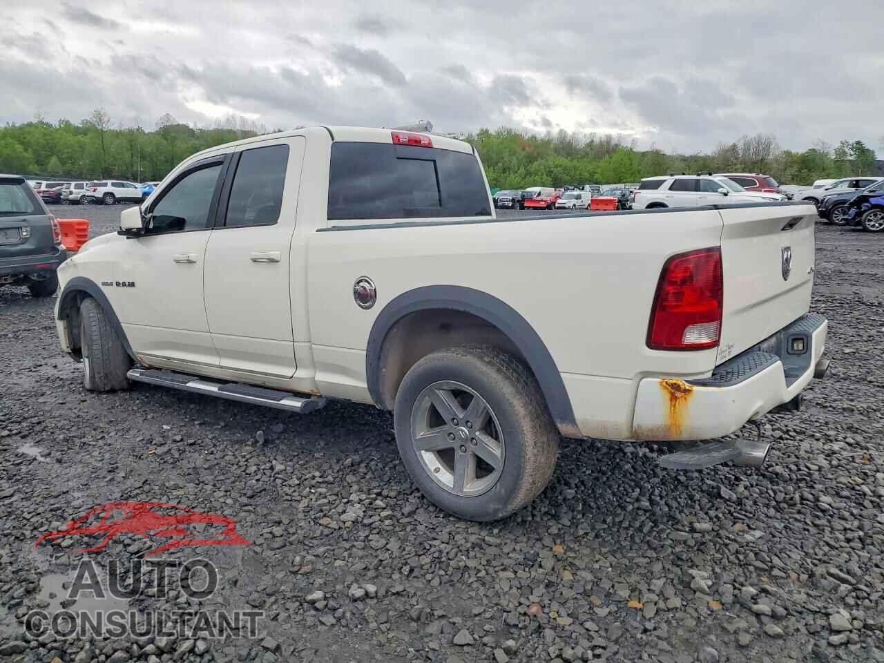 DODGE RAM 1500 2009 - 1D3HV18T29S815964